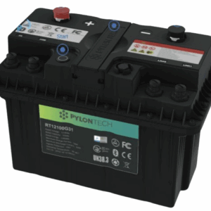Módulo de Batería de Litio 12V RT12100G31